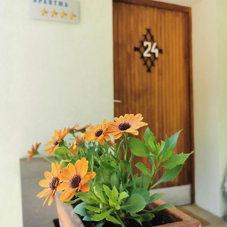 Apartma Rekar - A House, Where You Can Relax In The Embrace Of Nature Jesenice Ngoại thất bức ảnh