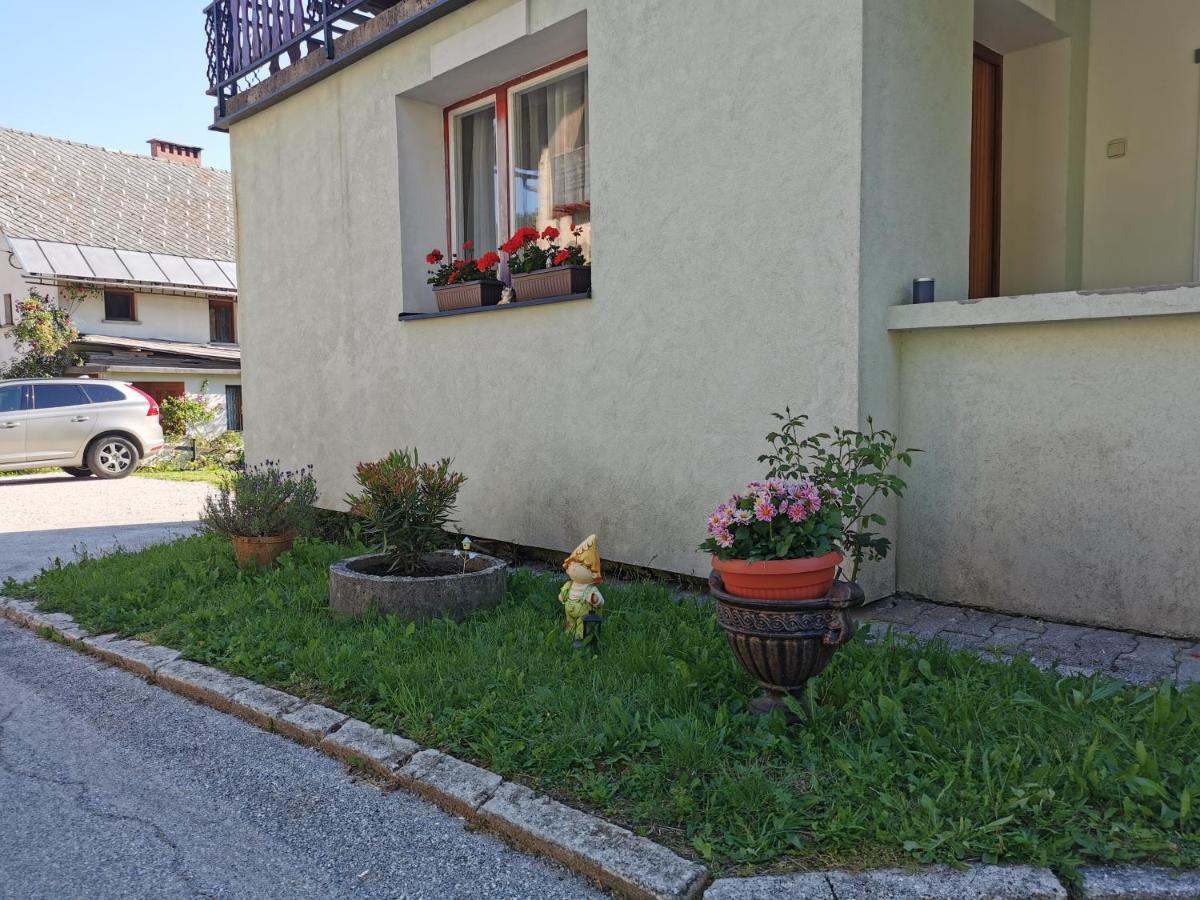 Apartma Rekar - A House, Where You Can Relax In The Embrace Of Nature Jesenice Ngoại thất bức ảnh