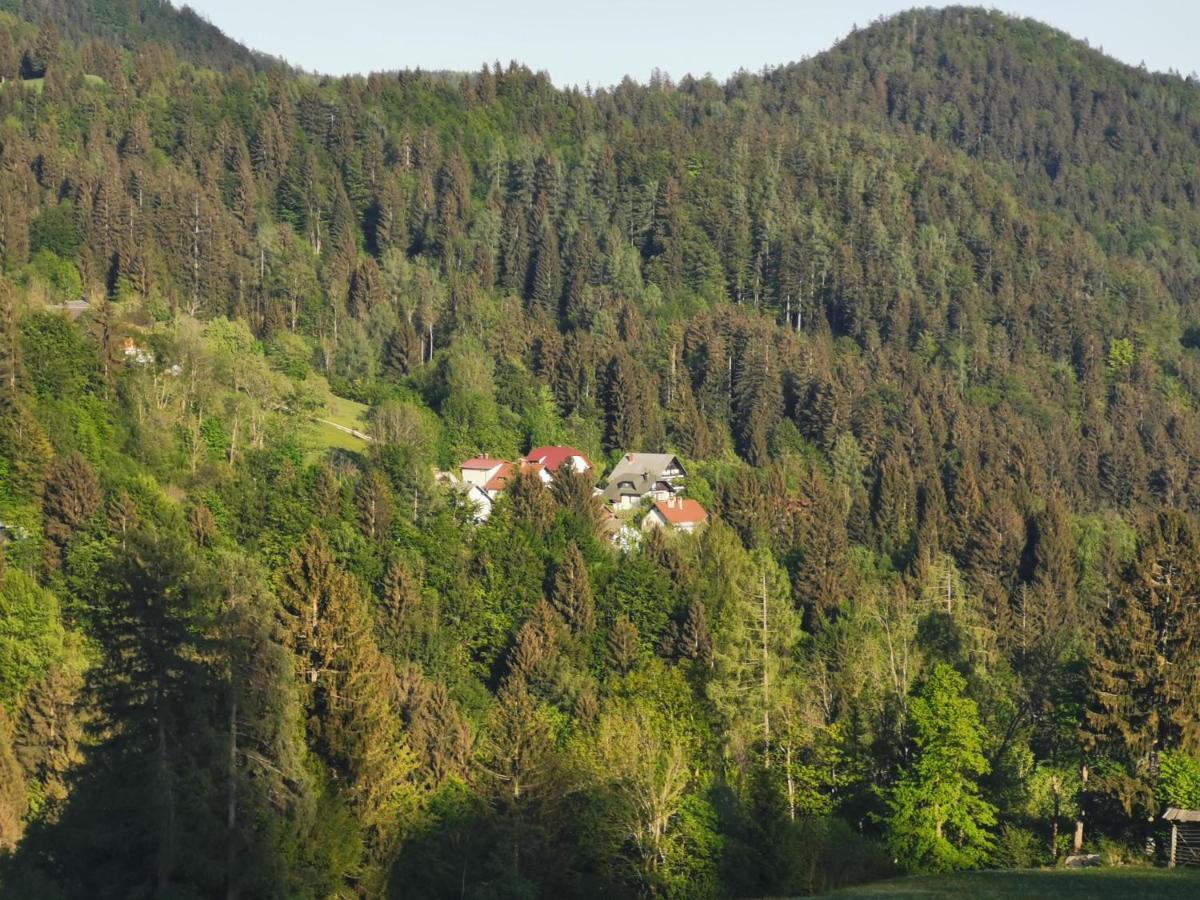 Apartma Rekar - A House, Where You Can Relax In The Embrace Of Nature Jesenice Ngoại thất bức ảnh