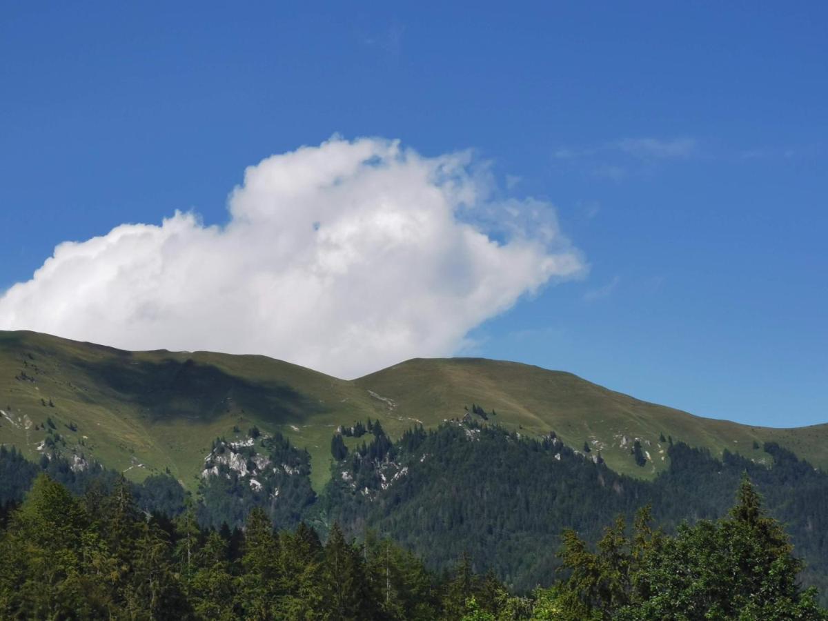 Apartma Rekar - A House, Where You Can Relax In The Embrace Of Nature Jesenice Ngoại thất bức ảnh